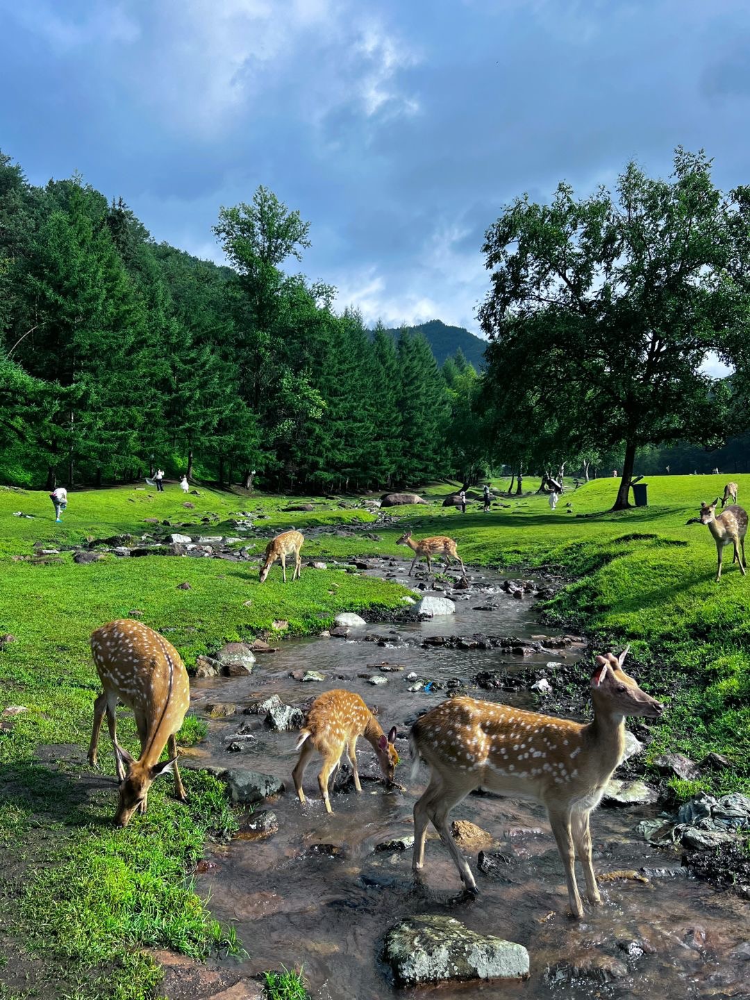 Harbin Yichun Northern Elegance Discovery 7D6N