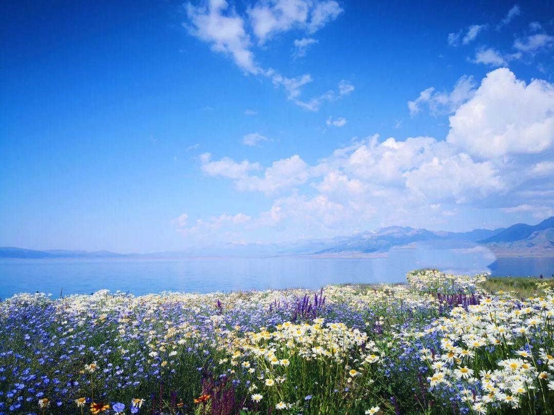 Northern Xinjiang 10D9N (Apr - Jun)